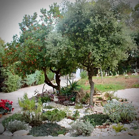 Trulli Laurus 600 Villa